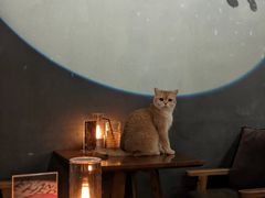 -咖法森林·咖啡  酒吧(天河店)