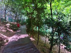 -上海佘山国家森林公园西佘山园