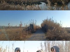 -盐城丹顶鹤湿地生态旅游区