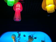 -太平洋海底世界