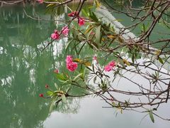 -花溪公园