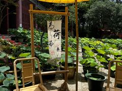 -映月潭温泉