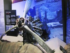 -北马里亚纳群岛博物馆