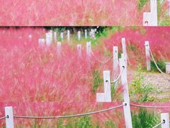 -沉浸北京·团建旅行·密室剧本杀·年会会议轰趴拓展