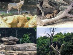 -常州淹城野生动物世界