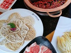 -老版火锅.12年西安排队王(沣峪口店)