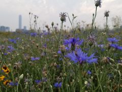 -白塘生态植物园