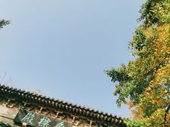-灵谷景区