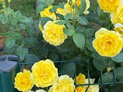 -德全心悦酒店(北京金台路地铁站店)