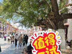 -古树酸奶(八廓南街店)