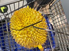 -盒马鲜生(顺义店)