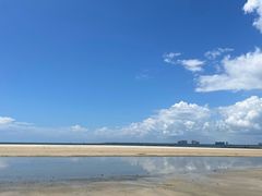 -东郊椰林