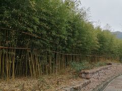 -竹子庵公园