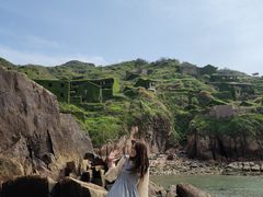 -枸杞岛