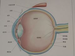 -浙江大学医学院附属第二医院眼科中心