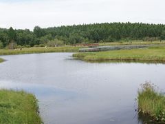 -塞罕坝国家级自然保护区