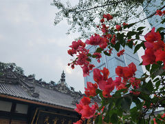 -古大圣慈寺