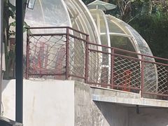 -巴倒烫陆派重庆火锅(南山店)