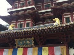 -新加坡佛牙寺龙华院