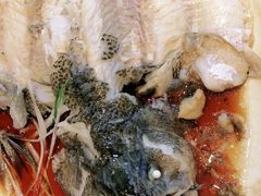 -紫光园·烤鸭·北京菜(劲松店)