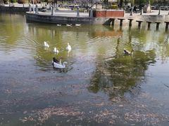 -长安大学(北校区)