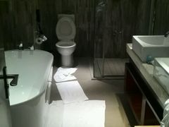 picture-常州环球恐龙城维景国际大酒店