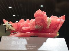 -中国地质博物馆