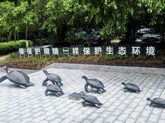 -广东惠东海龟国家级自然保护区