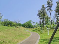 -桂溪生态公园