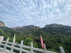 -大岭沟猕猴桃谷风景区