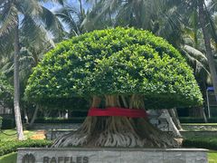 -海南清水湾莱佛士酒店