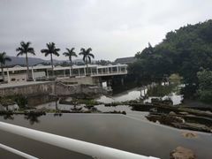 -厦门国家会计学院