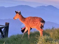 -萍乡武功山风景名胜区