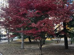 -北京工商大学(阜成路校区)