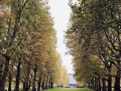 -九又四分之三站台