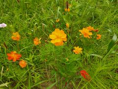 -野鸭湖国家湿地公园