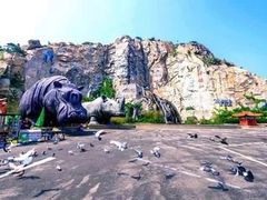 -西霞口神雕山野生动物世界