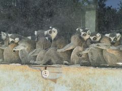 -秦皇岛野生动物园