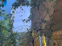 -春树下·树屋花房西餐厅(罍街AS1980店)