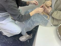 -小猫来了·猫舍(红山六九七九店)
