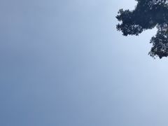 -东莞植物园