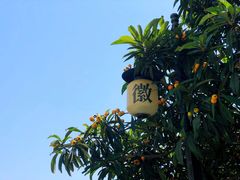 -渔梁坝