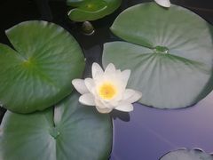 -浙江大学(玉泉校区)
