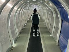 -中旅松花湖滑雪场