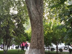 -山东大学(洪家楼校区)