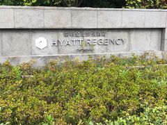 -上海崇明金茂凯悦酒店