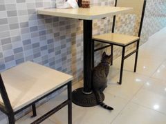 android_upload_pic-盛京一禾