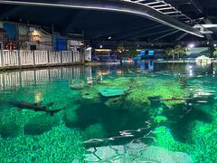 -香港海洋公园