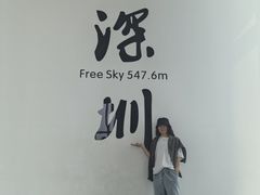-Free Sky 云际观光层