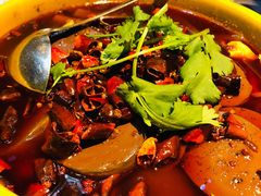 -红辣椒·川菜·火锅(张杨路店)